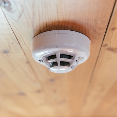 Appleton vivint connected fire alarm