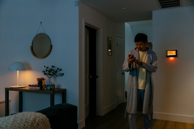 Vivint Appleton smarthome automation